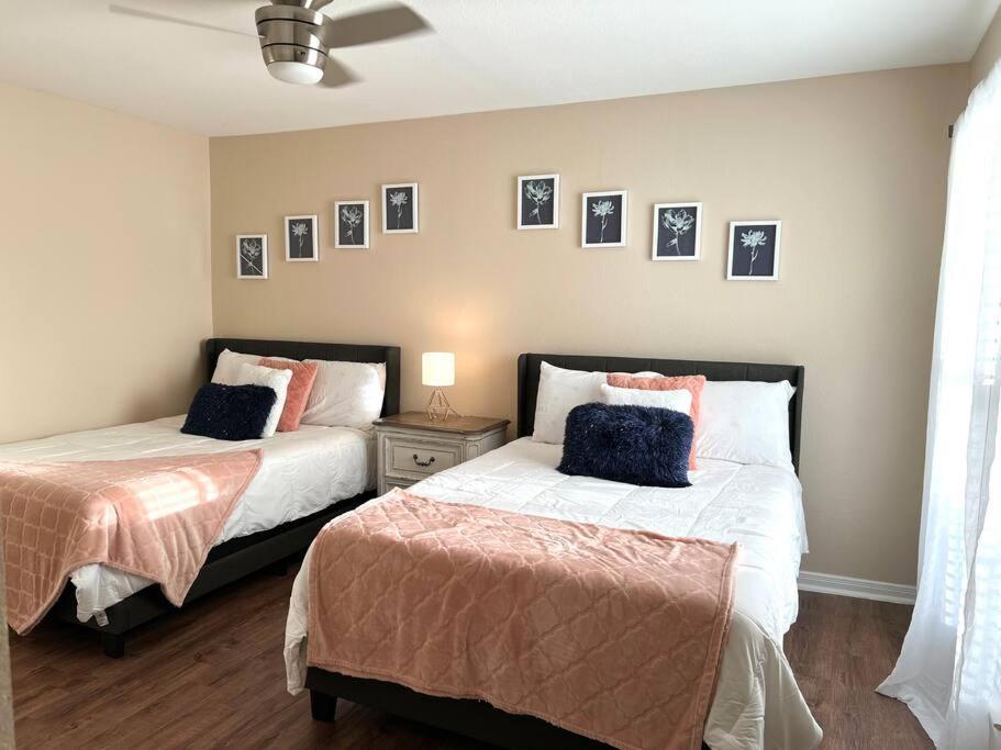 Lovely 2 Bedroom/2 Bath Houston, Heights/Galleria Bagian luar foto